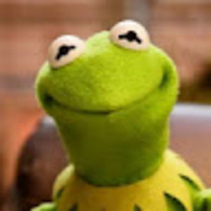 Meet your Posher, Eleanor